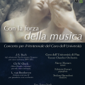 Locandina Concerto del Ventennale